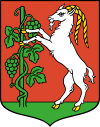 Orły Lublin